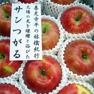 りんご・なし・もも産直販売 信州ギフト 信州長野からの りんご・梨