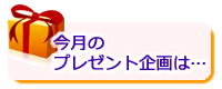 今月のプレゼント企画